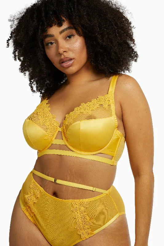 Playful Promises Vivienne Mustard Net Satin and Lace Trim Curve Bra